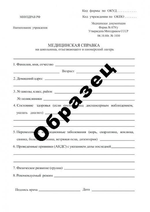 Получить справку в пионерский лагерь в Казани Справка в пионерский лагерь в Казани